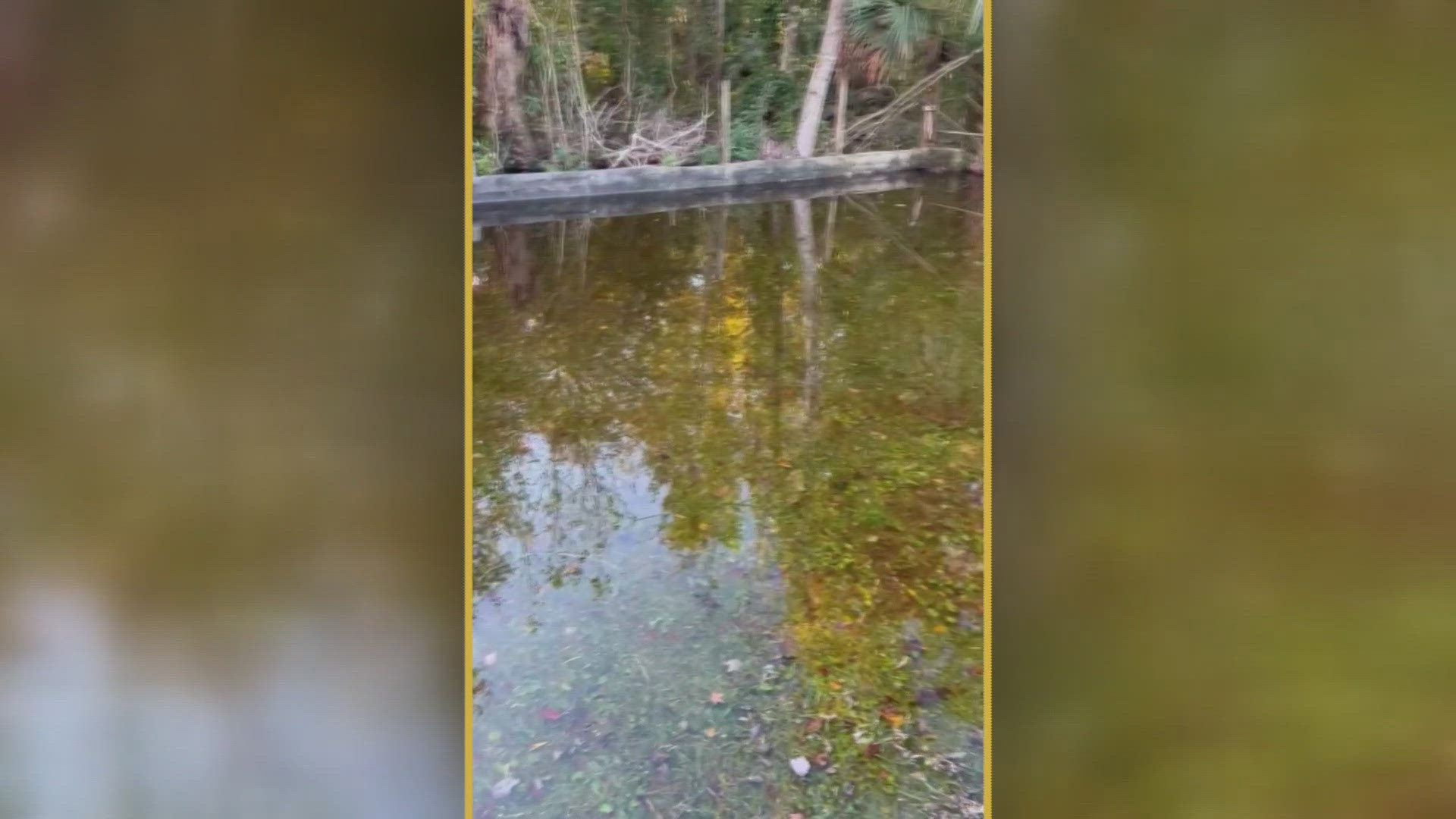 For years, Anthony Bryant and his wife have been dealing with standing water in their backyard. On top of that, the mosquitoes and snakes that come with it.