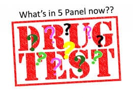 DOT 5 Panel Drug Test