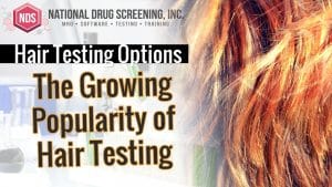 Which Labs Perform Hair Drug Testing?