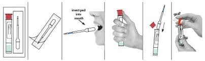 oral fluid process