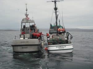 uscg smi required drug test