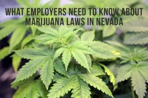 What Employers Need To Know About Marijuana Laws in Nevada