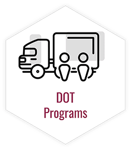 DOT Programs