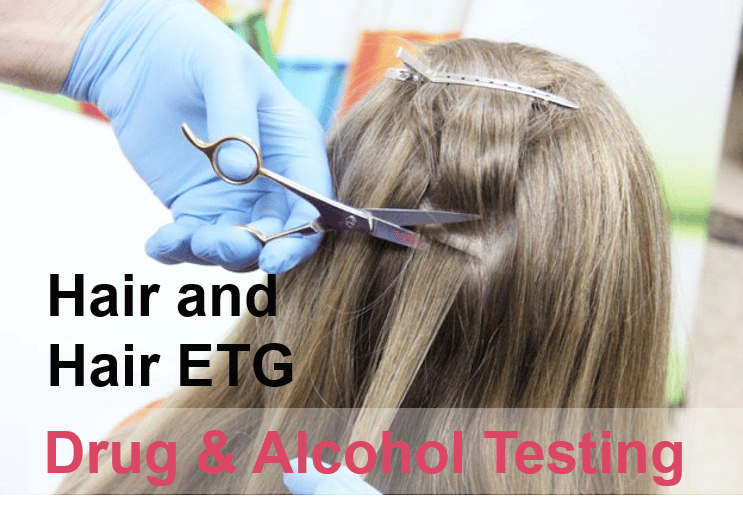 Hair Drug Testing: What You Need To Know