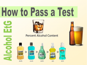 How to Pass an EtG Test