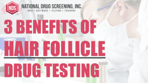 Video Blog - Hair Follicle Drug Testing