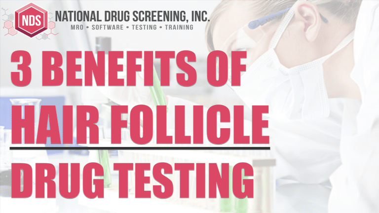 Video Blog - Hair Follicle Drug Testing