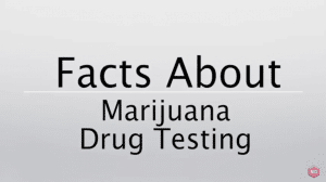 Some Facts About Marijuana