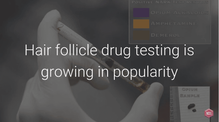 The Facts About Oral Fluid Drug Testing