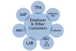 TPA - C/TPA and Service Agents