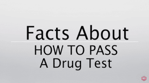 What Happens When You Get A Drug Test?